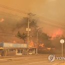 산대월리 이미지