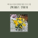 메디움수원요양병원 | 센터피스 만들기, 메디움수원요양병원 원예특강 안내