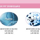 태스