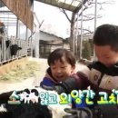 성민목장 이미지