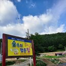 숲속의정든집야영장