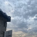 리코 브리또 이미지