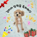 개스트룸 이미지