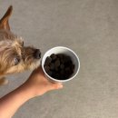 새동서약국 | 요즘 내 일상, 일상을 채워주는 것들