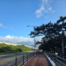 부경대학교수산과학연구소 | 부산 갈맷길 걷기 1-1구간 정리