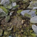 완두콩가족펜션 이미지