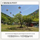 커피지도사 | 대구 아이와 가볼만한곳 추천 가창힐링하우스 자연체험놀이터 가격 예약 총정리