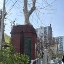 신동아아파트 4차 앞 이미지