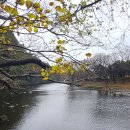 소로3-286 이미지