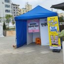 충장축제 행사장 | 2023 광주 충장축제 다녀온 후기 주차장 10월 축제 80만명 방문
