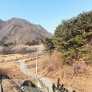 아리버거 베이커리