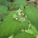 석골사화장실 이미지