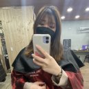 헤어피카소 이미지