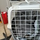 옥천동물병원 이미지