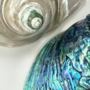 옻칠과 자개공예 이미지