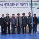 라파스 이미지