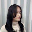 에이엘헤어 - 광산구 북문대로419번길 61 | 에이엘헤어
