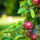 중리한의원 이미지