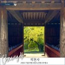 적천사 - 1735 | 청도 은행나무 명소 적천사로 가을 여행 솔직후기