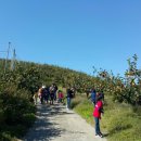 행복한사슴농장 이미지