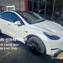 카톡(자동차를말하다) | 평택 테슬라 신차패키지 모델Y 만세로 썬팅 검수