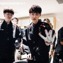 파이브울브즈