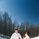 수정목장 | 삿포로 뺨치는 강원도 대관령 양떼목장에서 웨딩스냅을 찍어보자! (feat. 강풍)