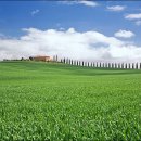 스윗 피플 이미지