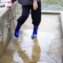 다대어촌체험마을 이미지