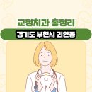 유종우  치과  의원 | 경기도 부천시 괴안동 교정치과 총정리