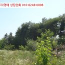 가재월리 이미지