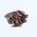 공단9로 L 이미지