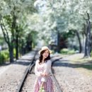 5월5일 전주 팔복동 철길 이팝나무 &amp; 전주 수목원 조팝나무 (미드님 진행) 이미지