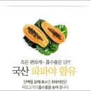타조의방