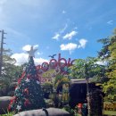 (주)빅키스톤 이미지