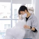 오드리 펫 이미지