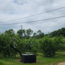 대건목장 이미지