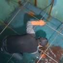 중앙동 상가밀집지역1 이미지