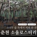 소나무의 시 | 소나무 숲 속 커피 한 잔, 춘천 소울로스터리 카페 방문 후기
