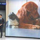 유광수농장 Daum카페