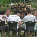 개미가든 이미지