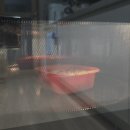 [오후커뮤니케이션] 백만번재사용가능한 미국FDA승인받은BPAFREE안전용기 서울라면하이브리드쿠커러...