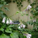 아이엔지광고 이미지