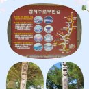 낭만가도길(양양구간) | 18차 해파랑길 트레킹, 부구 삼거리에서 절터골까지