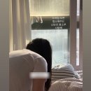 5월 일기 (긴글주의)