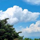 장미아파트 이미지