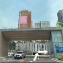 포레스티아 서문상가 네이버블로그