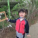 오치카리타스어린이집 이미지