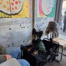 속초갯배 | 속초 갯배피자 후기｜반려견 동반 가능한 속초 피자 맛집 (울산바위·설악산 피자)