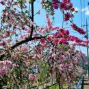 도화보건지소 이미지